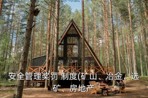 安全管理獎罰 制度(礦山、冶金、選礦、房地產(chǎn)
