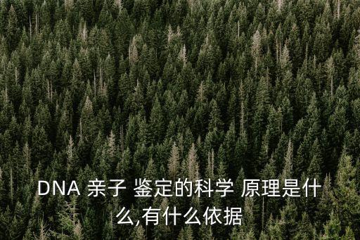 DNA 親子 鑒定的科學(xué) 原理是什么,有什么依據(jù)