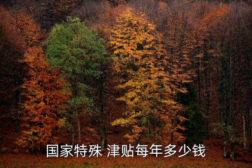 國(guó)家特殊 津貼每年多少錢(qián)