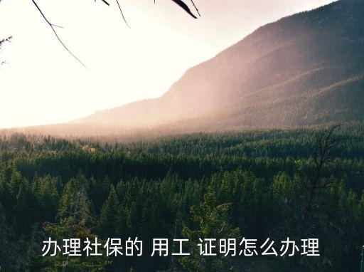 用工證明