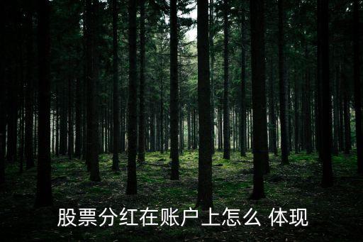  股票分紅在賬戶上怎么 體現(xiàn)