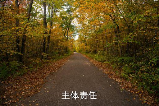 用工主體責(zé)任