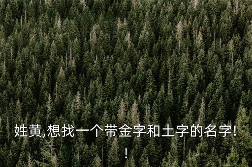 黃志鵬