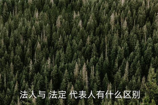 法人和法定代表人,有限責(zé)任公司法人和法定代表人