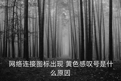  網(wǎng)絡(luò)連接圖標(biāo)出現(xiàn) 黃色感嘆號是什么原因