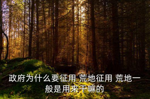 政府為什么要征用 荒地征用 荒地一般是用來干嘛的