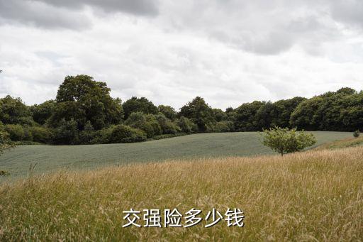  交強(qiáng)險(xiǎn)多少錢