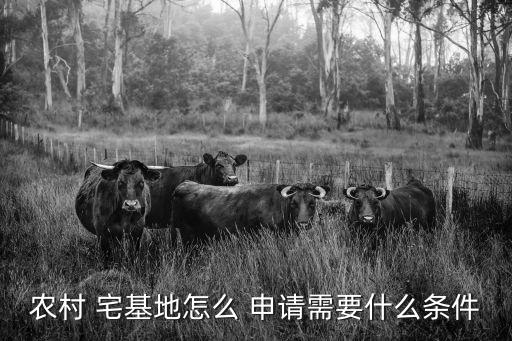 農(nóng)村 宅基地怎么 申請需要什么條件