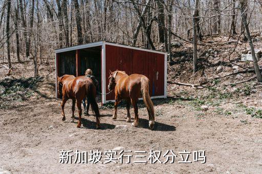 新加坡政治體制