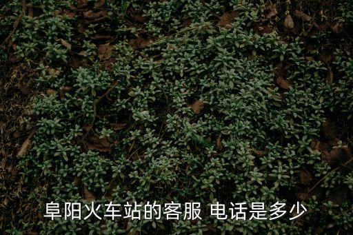 阜陽火車站的客服 電話是多少