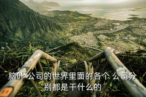 腦葉 公司的世界里面的各個 公司分別都是干什么的