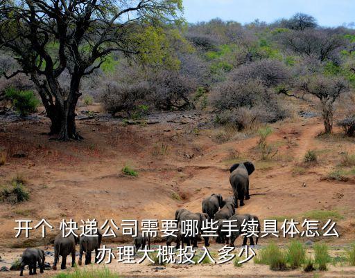 快遞經(jīng)營(yíng)許可證,丹鳥(niǎo)有沒(méi)有快遞經(jīng)營(yíng)許可證