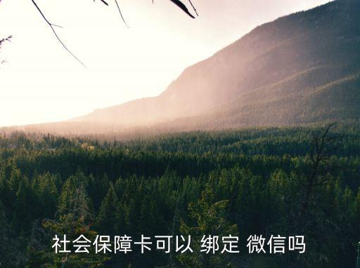 社會保障卡可以 綁定 微信嗎