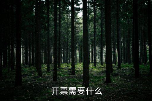  開票需要什么