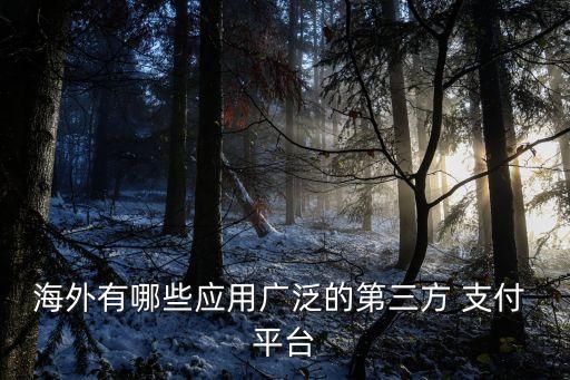 海外有哪些應(yīng)用廣泛的第三方 支付 平臺