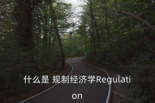 什么是 規(guī)制經(jīng)濟(jì)學(xué)Regulation