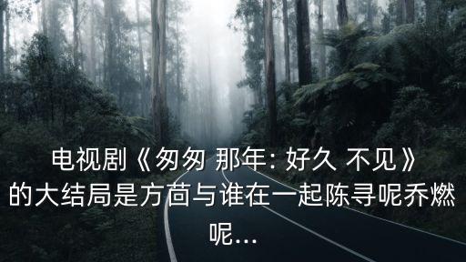 電視劇《匆匆 那年: 好久 不見》的大結(jié)局是方茴與誰在一起陳尋呢喬燃呢...
