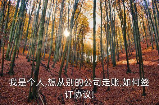 我是個人,想從別的公司走賬,如何簽訂協(xié)議!