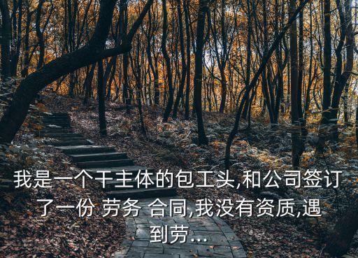 我是一個(gè)干主體的包工頭,和公司簽訂了一份 勞務(wù) 合同,我沒(méi)有資質(zhì),遇到勞...