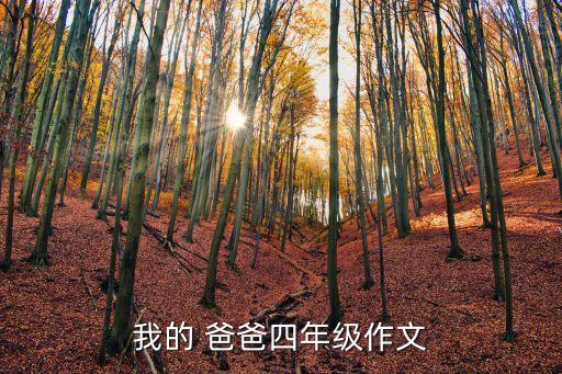 我的 爸爸四年級作文