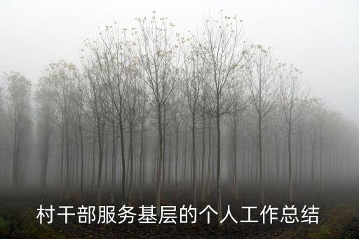 村長助理
