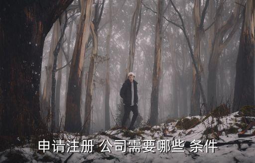 申請注冊 公司需要哪些 條件