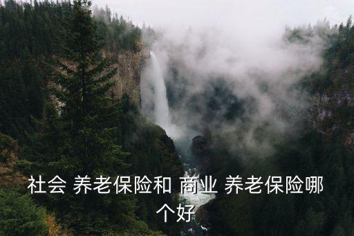 商業(yè)養(yǎng)老