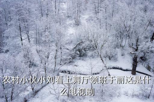 農(nóng)村小伙小劉看上舞廳領(lǐng)班于麗這是什么電視劇