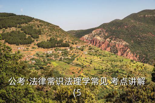 公考:法律常識(shí)法理學(xué)常見(jiàn) 考點(diǎn)講解(5