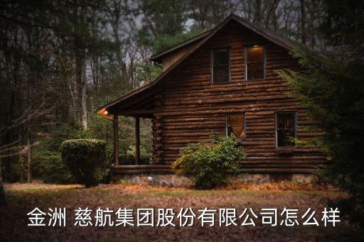 金洲慈航最新消息,st金洲2023新拍賣(mài)結(jié)果