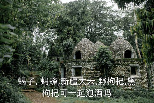 蝎子, 螞蜂,新疆大云,野枸杞,黑枸杞可一起泡酒嗎