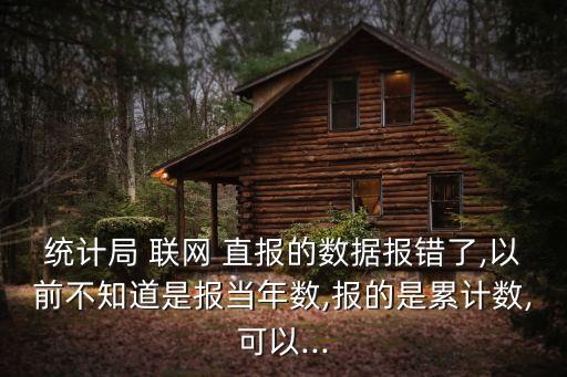 國家統(tǒng)計局聯(lián)網(wǎng)直報