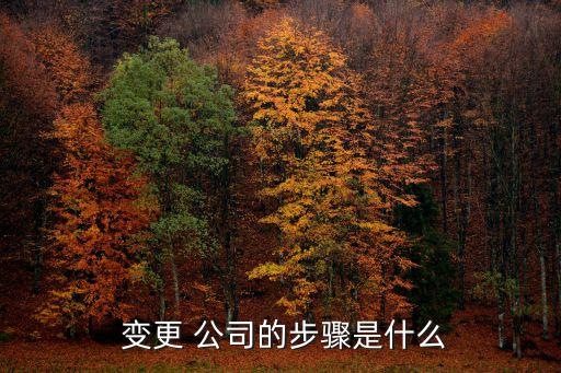 公司變更