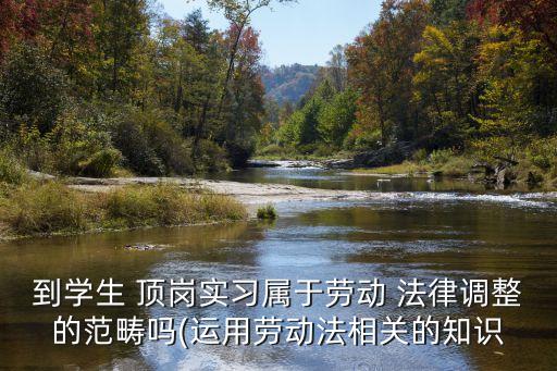 到學生 頂崗實習屬于勞動 法律調(diào)整的范疇嗎(運用勞動法相關(guān)的知識