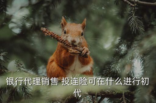 投連險(xiǎn)