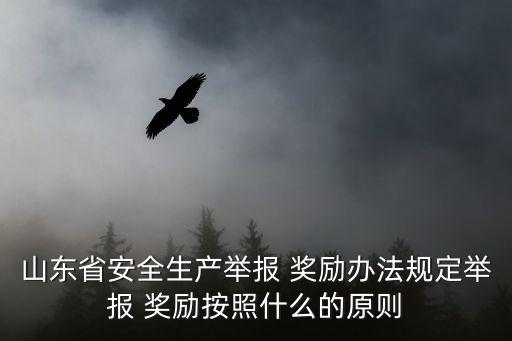 山東省安全生產(chǎn)舉報 獎勵辦法規(guī)定舉報 獎勵按照什么的原則