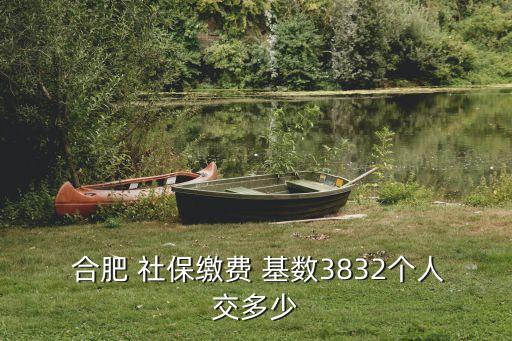  合肥 社保繳費(fèi) 基數(shù)3832個(gè)人交多少