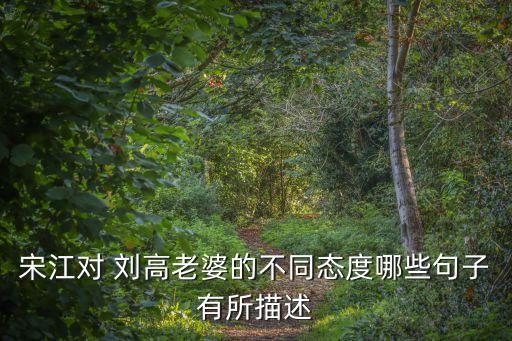宋江對 劉高老婆的不同態(tài)度哪些句子有所描述