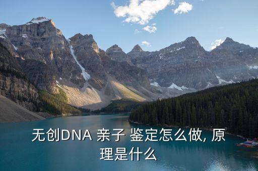 無創(chuàng)DNA 親子 鑒定怎么做, 原理是什么