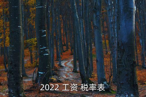 2022 工資 稅率表