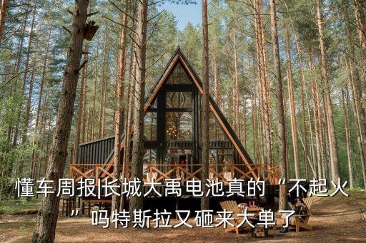 單紅艷