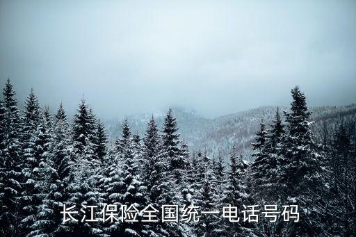 長江保險