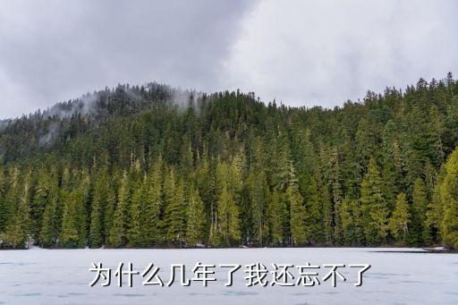 余娜,余姚市屬于哪個省哪個市