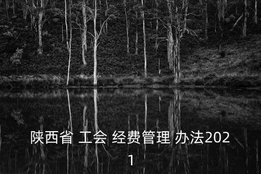 基層工會經(jīng)費收支管理辦法,中華全國總工會基層工會經(jīng)費收支管理辦法