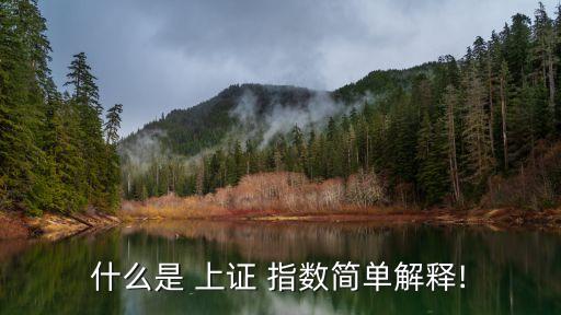 上證指數(shù)是什么
