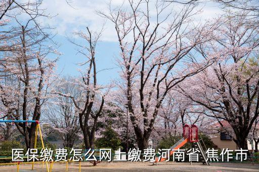 醫(yī)保繳費怎么網(wǎng)上繳費河南省 焦作市