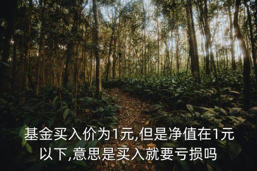  基金買入價(jià)為1元,但是凈值在1元以下,意思是買入就要虧損嗎