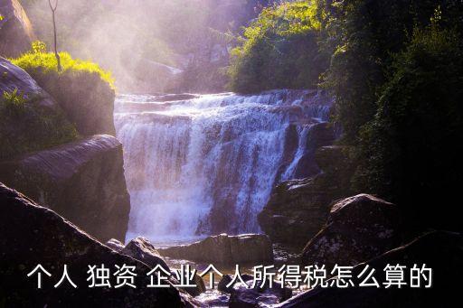 個(gè)人獨(dú)資企業(yè)稅收,有限責(zé)任公司和個(gè)人獨(dú)資企業(yè)稅收