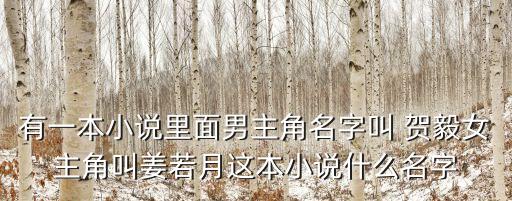 賀毅