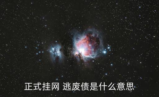 逃廢債是什么意思,上報逃廢債是什么意思
